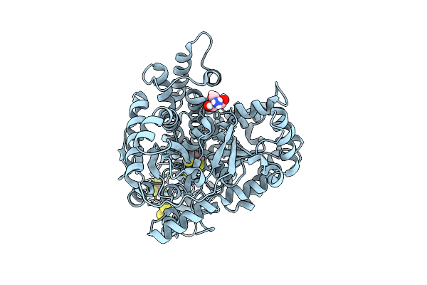 9FPI image