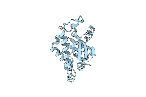 9FPM image