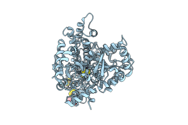 9FPN image