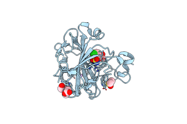 9FPT image