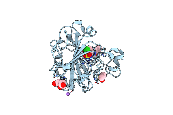 9FPU image