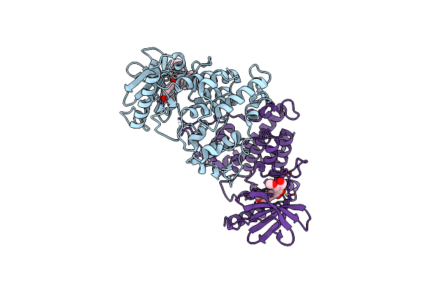 9FPX image
