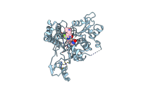 9FQI image