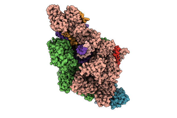 9FRJ image