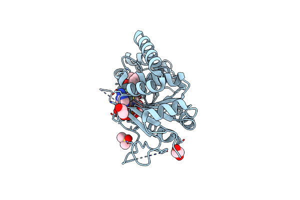 9FRU image