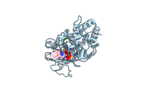 9FS0 image