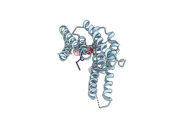 9FS4 image