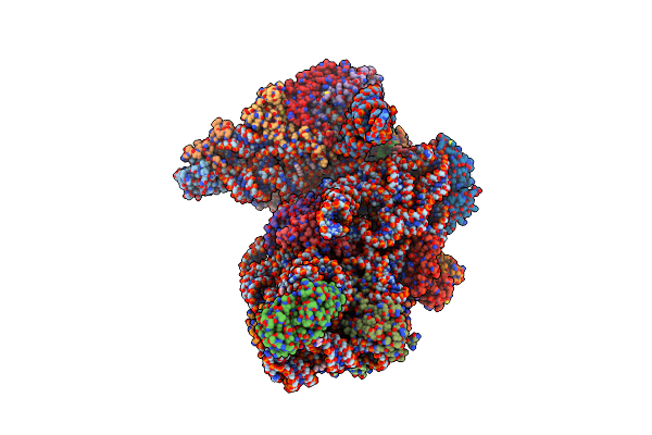 9FSF image