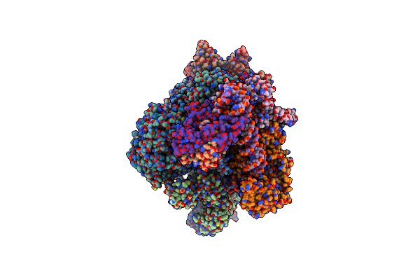 9FSP image