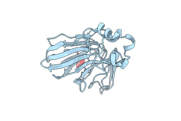 9FTS image