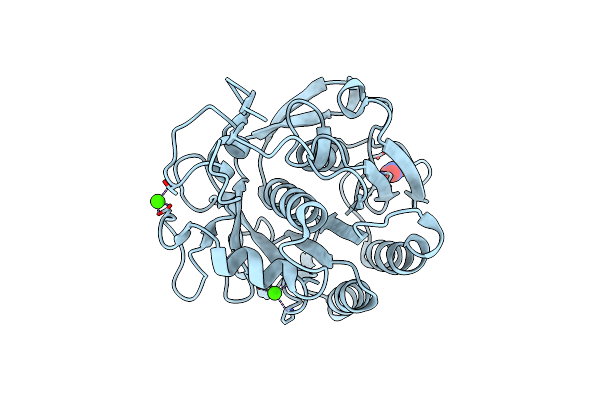 9FTX image