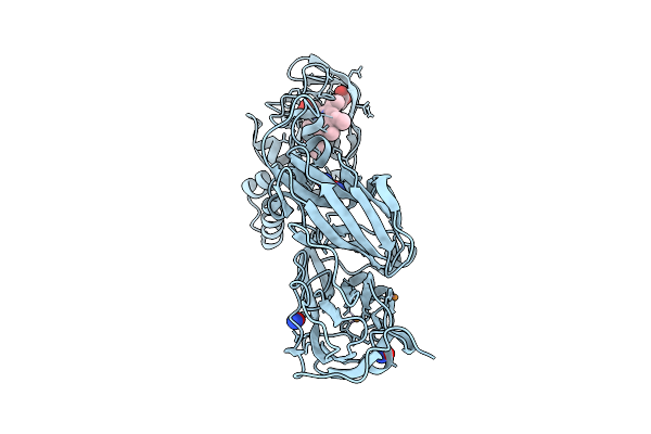 9FUI image