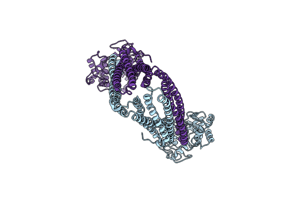 9FUZ image