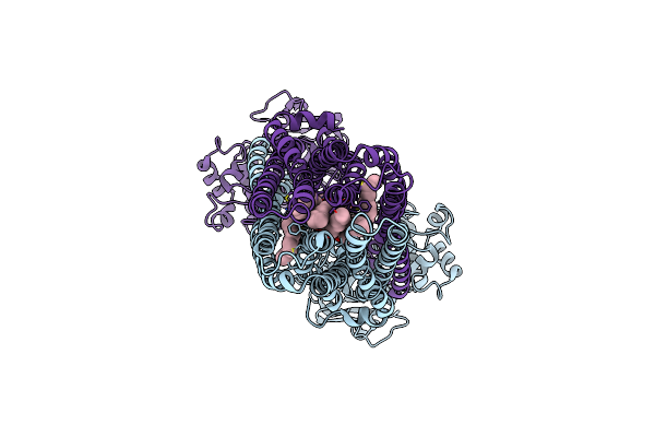 9FV0 image