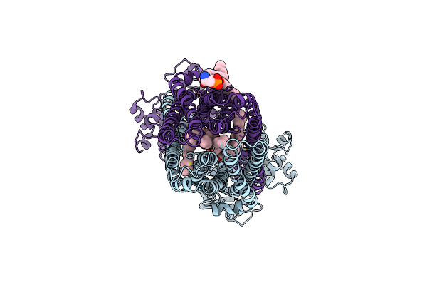 9FV2 image