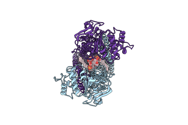 9FV3 image