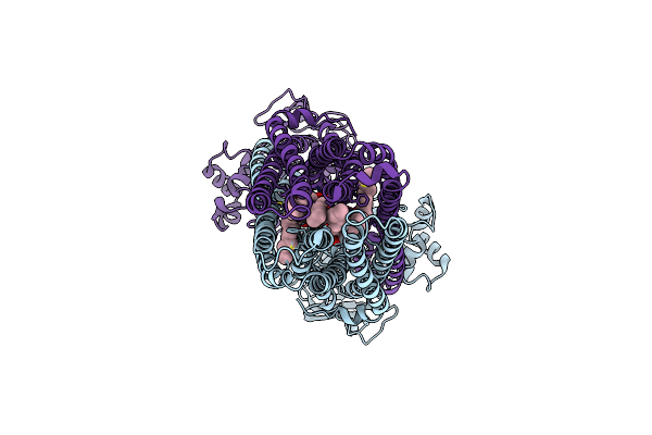 9FV4 image