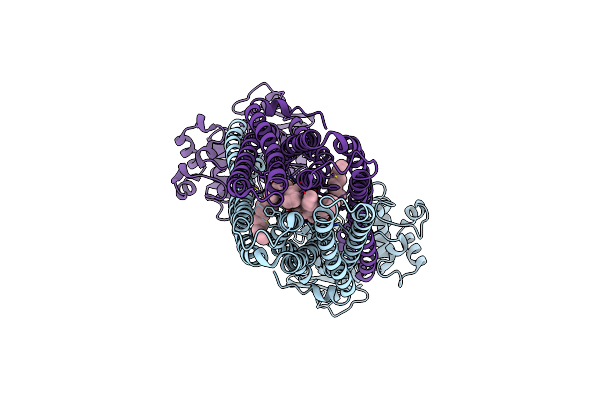 9FV5 image