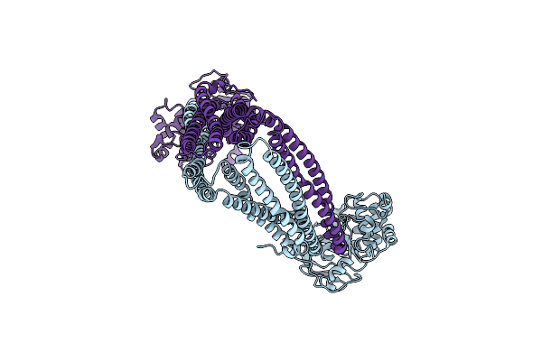 9FV7 image