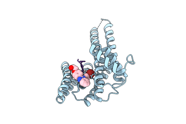 9FVN image