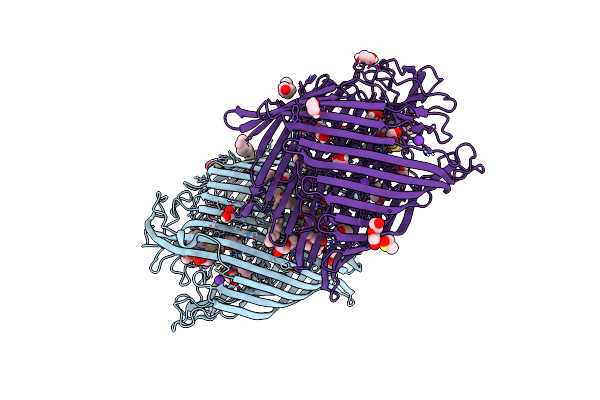 9FVQ image