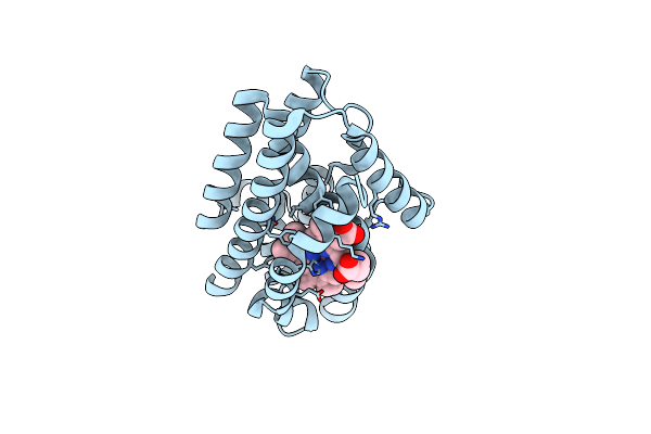9FVS image