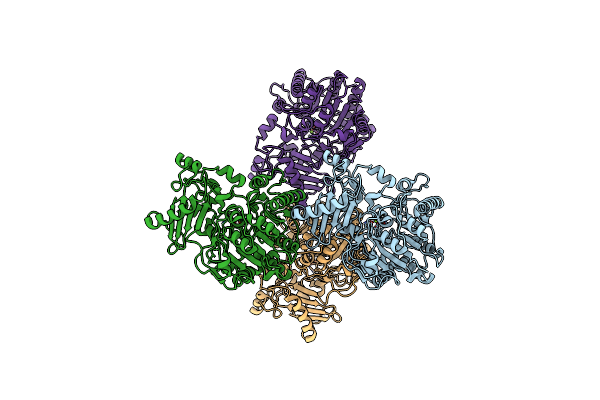 9FVT image