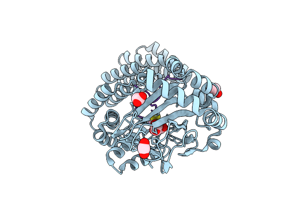 9FVV image