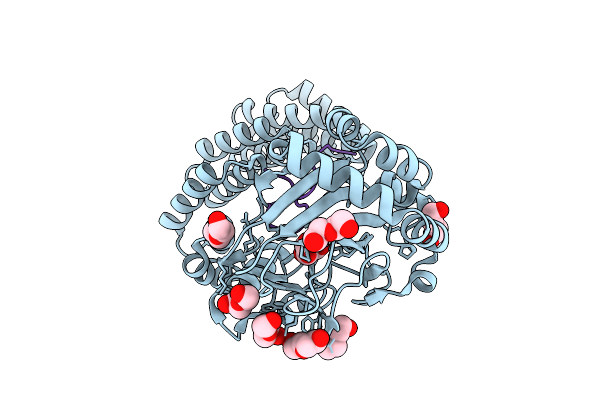 9FVX image