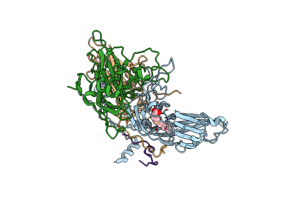 9FX1 image