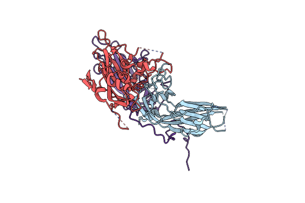 9FX9 image