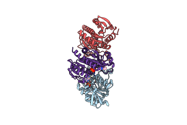 9FXE image