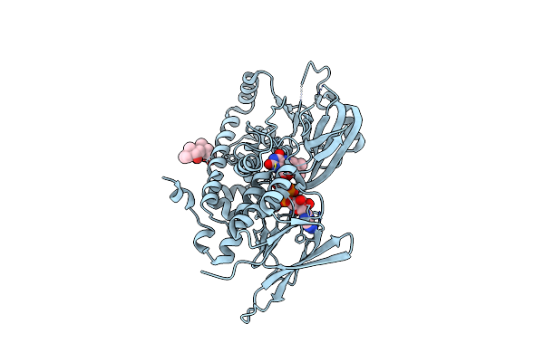 9FXQ image