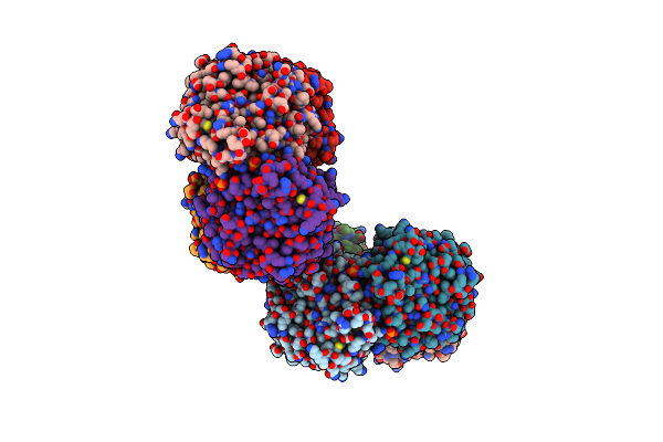 9FXR image