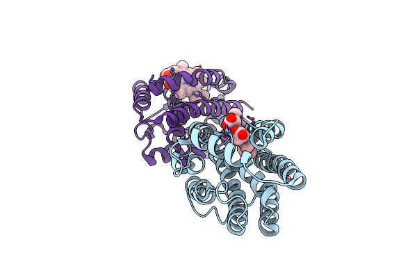 9FY4 image
