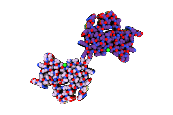 9FYP image