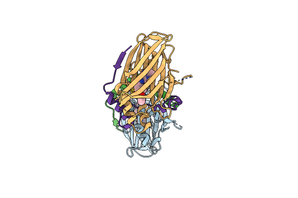 9FZA image