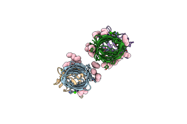 9FZC image