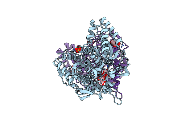 9FZW image
