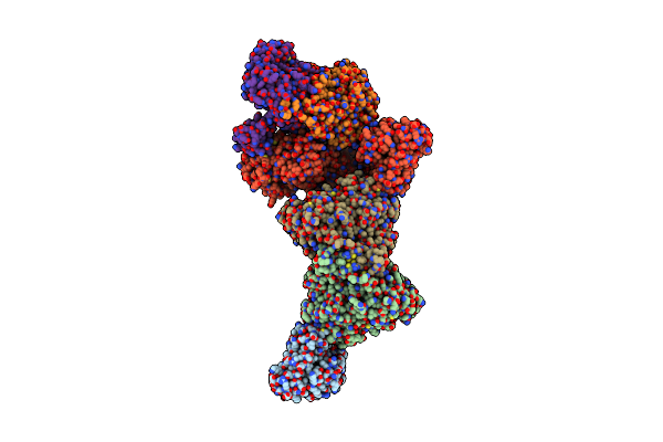 9FZZ image