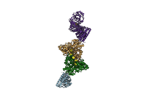 9G02 image