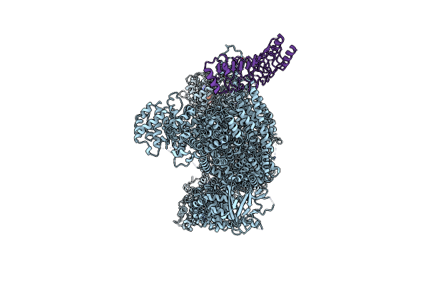 9G08 image