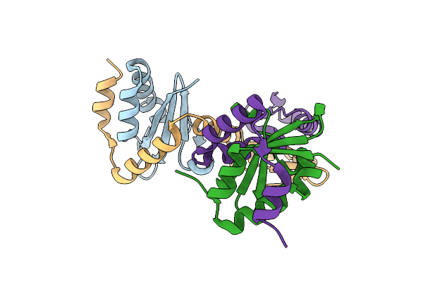 9G12 image