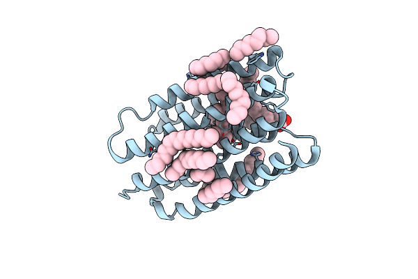 9G15 image