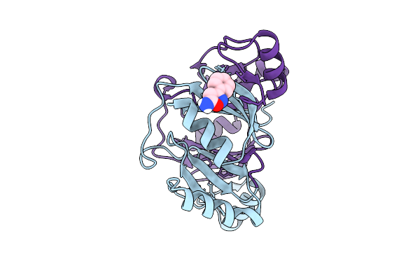 9G1D image
