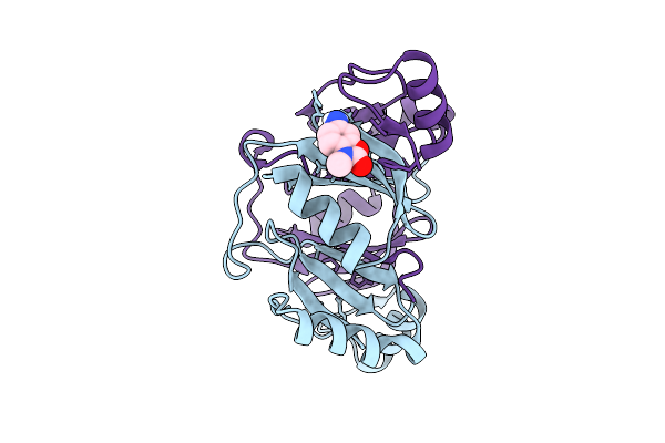 9G1F image