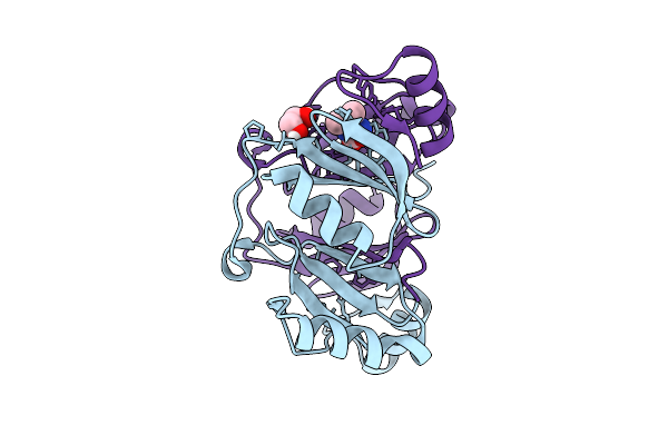 9G1L image