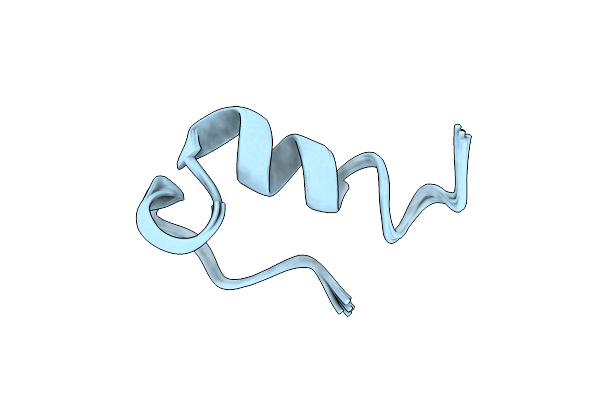 9G2N image