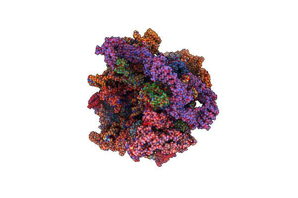 9G33 image