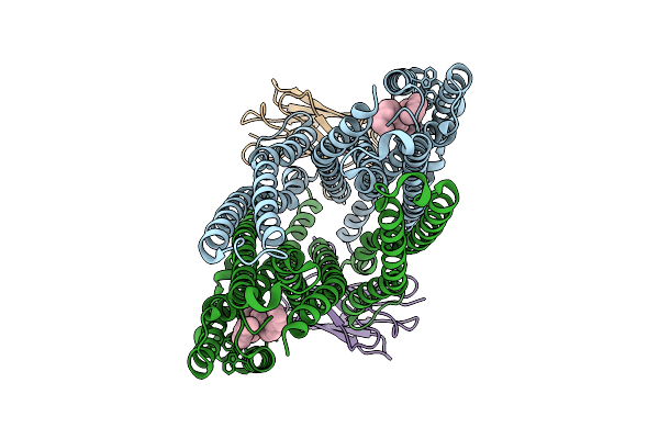 9G3E image